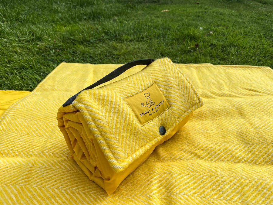 For Dogs Tagged "Pattern_Herringbone" Wool Blanket Online