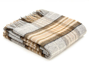 Tartan Pure New Wool Blanket - Mckellar