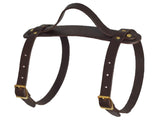 Blanket Carrying Strap - Brown leather